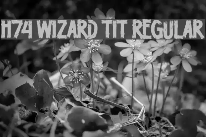 H74 Wizard Tit Regular Font examples