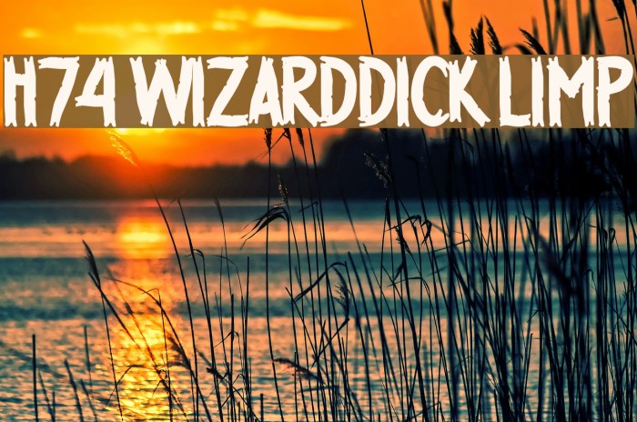 H74 WizardDick Limp Font examples
