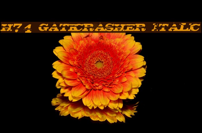 H74_Gatecrasher Italic Font examples