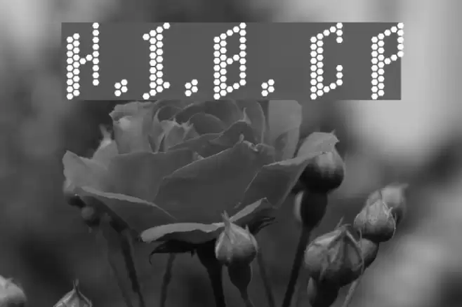 H.I.B. Cell Plain Schriftart examples