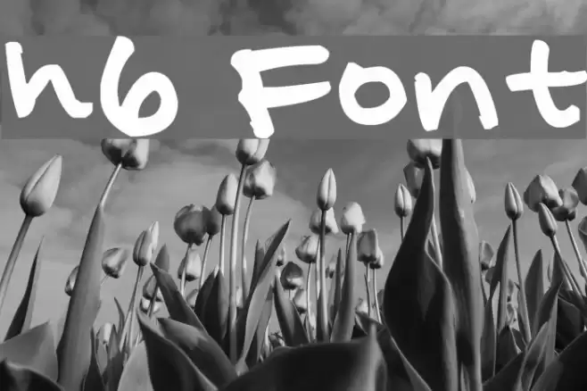 h6 Font examples