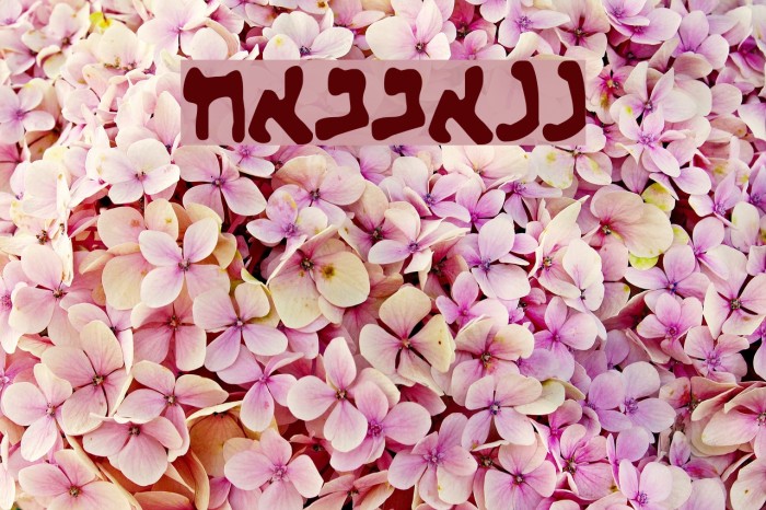 HABBAKUK Font examples