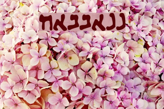 HABBAKUK Example 1