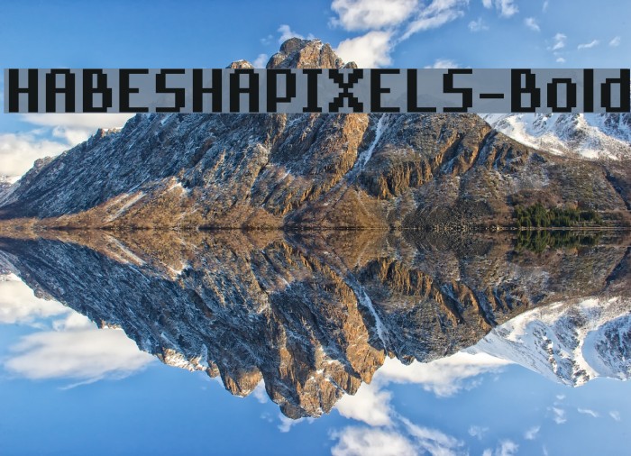 HABESHAPIXELS-Bold Example 1