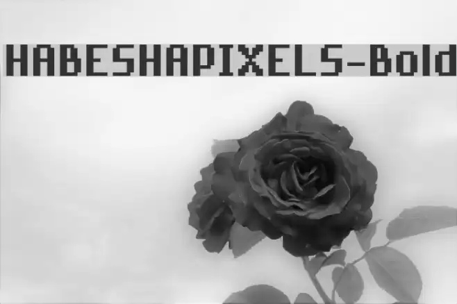 HABESHAPIXELS-Bold Font examples