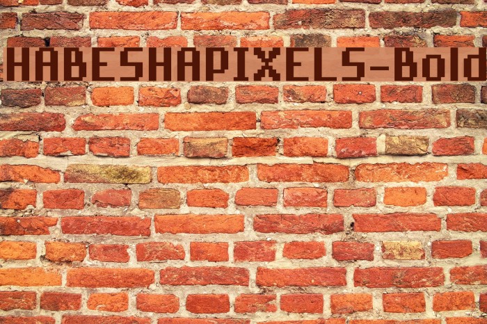 HABESHAPIXELS-Bold Example 3
