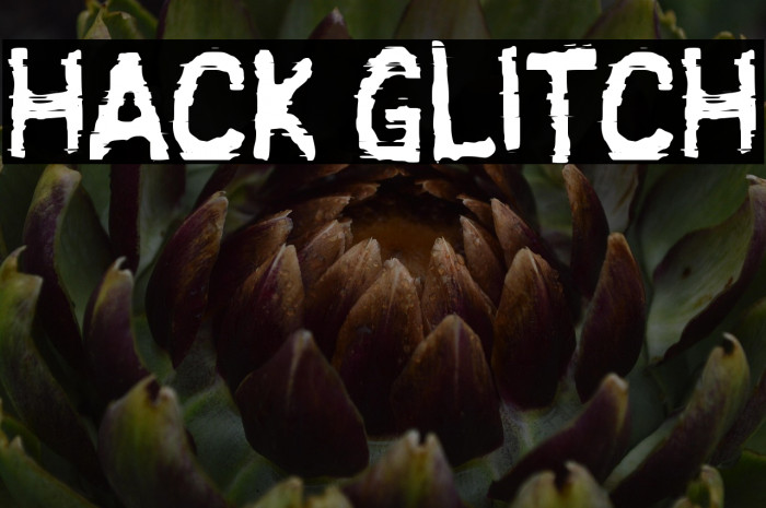 HACK GLITCH Example 2