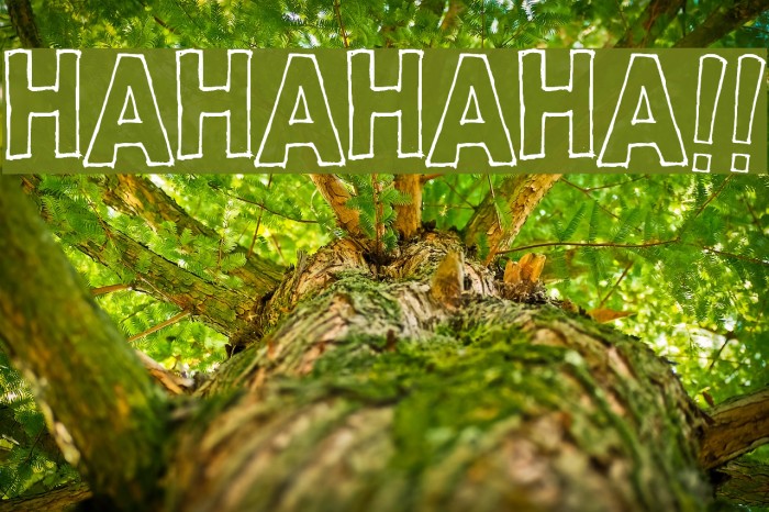 HAHAHAHA!! Font examples