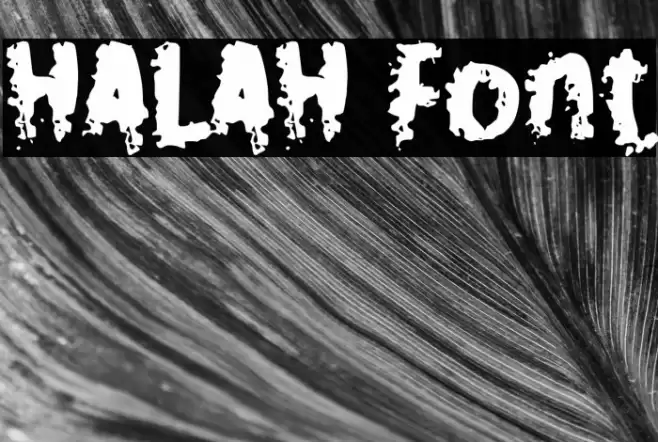 HALAH Font examples