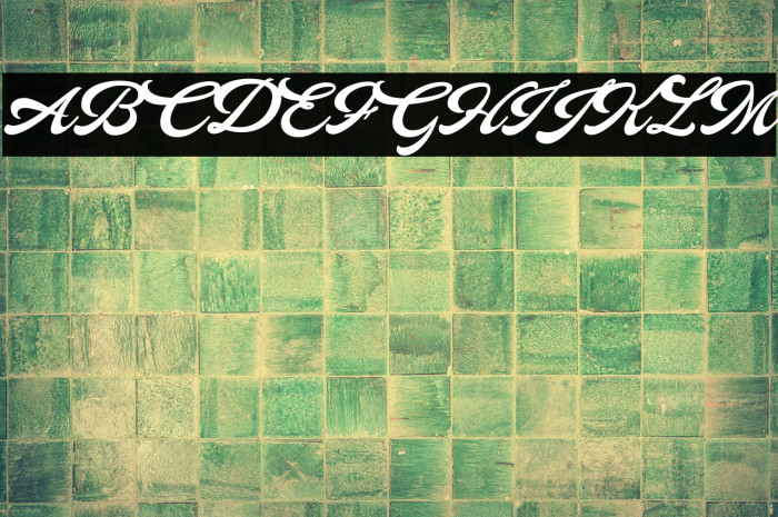 HALCION PERSONAL USE Italic Example 3