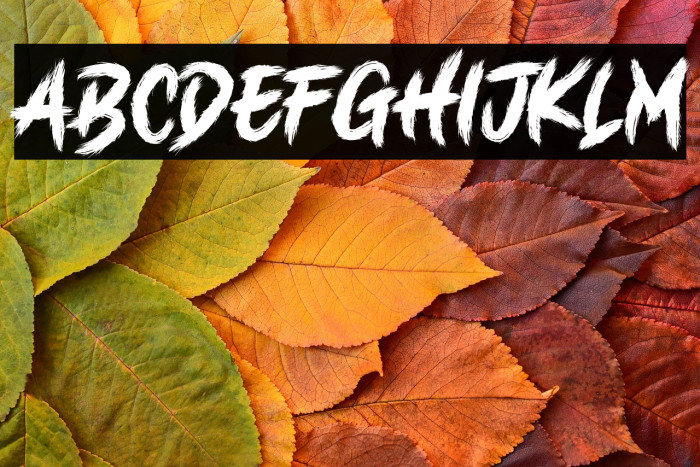 HALLOWEENN Example 3