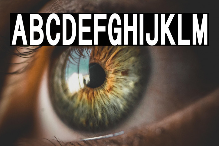 HALMAHERA SANS SERIF Example 2