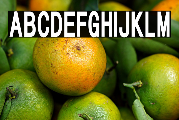 HALMAHERA SANS SERIF Example 3