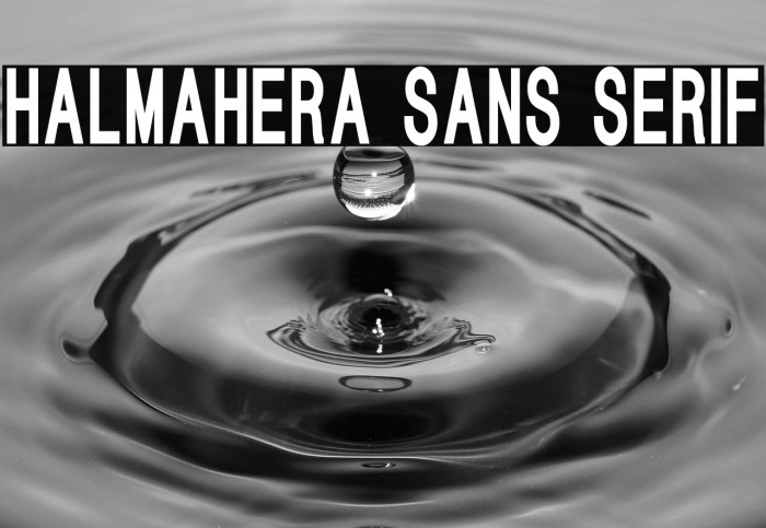 HALMAHERA SANS SERIF Example 1