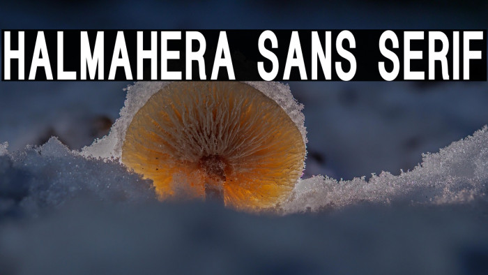 HALMAHERA SANS SERIF Example 2