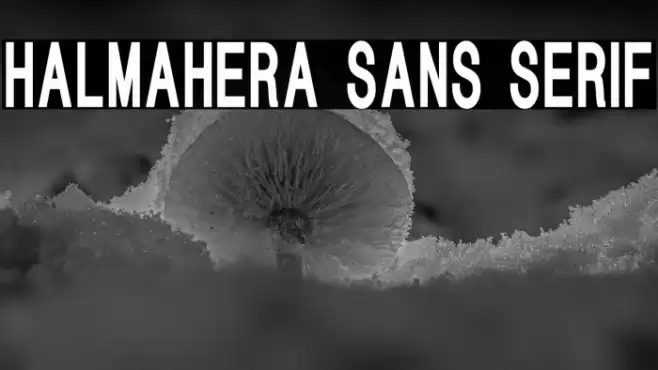 HALMAHERA SANS SERIF Font examples