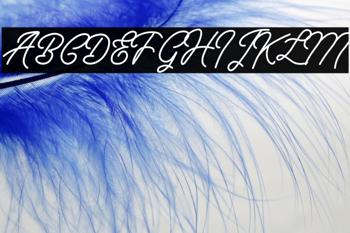 HALMAIRA GEKATYA DEMO Example 2