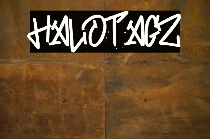 HALOTAGZ Example 1