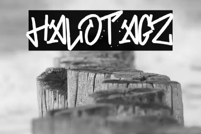 HALOTAGZ फ़ॉन्ट examples