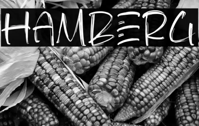 HAMBERG Font examples