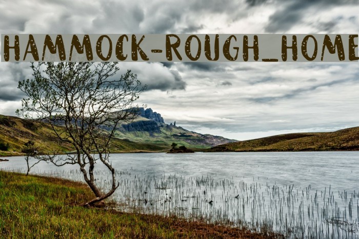 HAMMOCK-Rough_Home Example 1