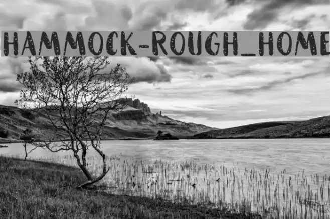 HAMMOCK-Rough_Home Font examples