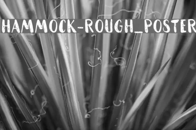 HAMMOCK-Rough_Poster Font examples