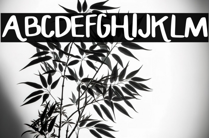 HANDCRAFTED_MADDY Example 1