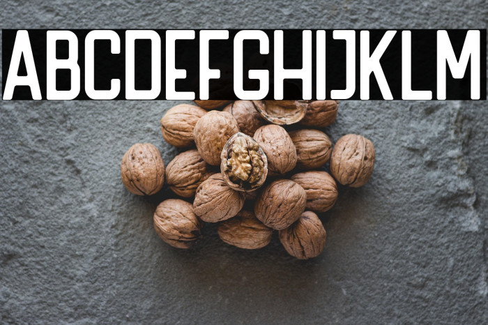 HANDLER Regular Example 1