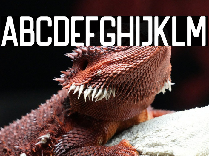 HANDLER Regular Example 1