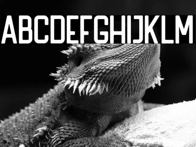 HANDLER Regular Font examples