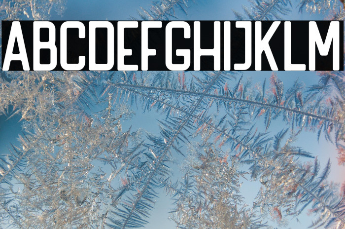 HANDLER Regular Example 2