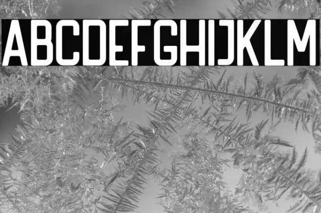 HANDLER Regular Font examples