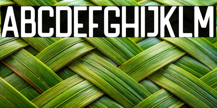 HANDLER Regular Example 3