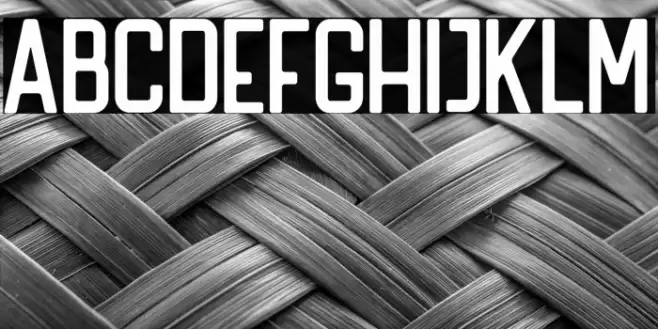 HANDLER Regular Font examples