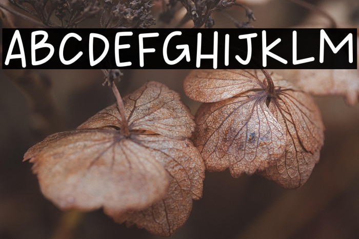 HANDMADE STARS Regular Example 1