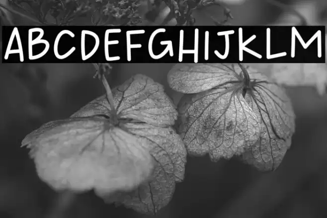 HANDMADE STARS Regular Font examples