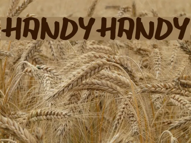 HANDYHANDY Example 3