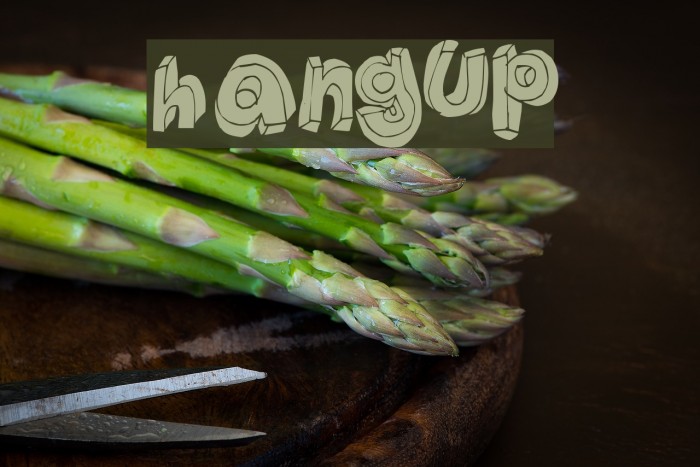 HANGUP Font examples