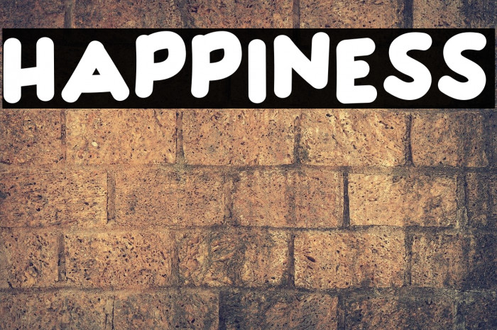 HAPPINESS Font examples