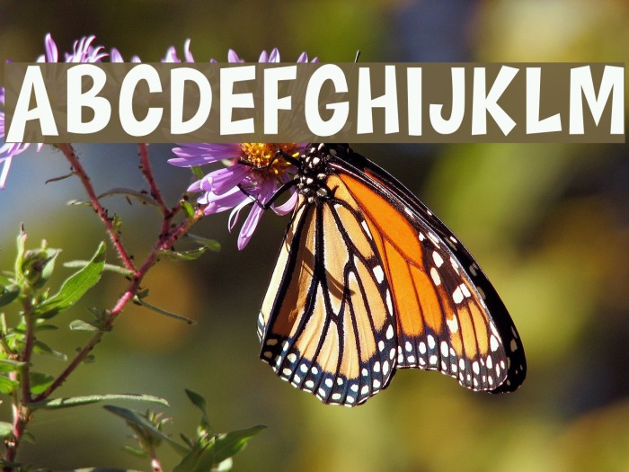 HAPPY COMIC Example 1