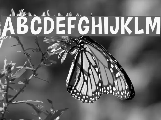 HAPPY COMIC Font examples