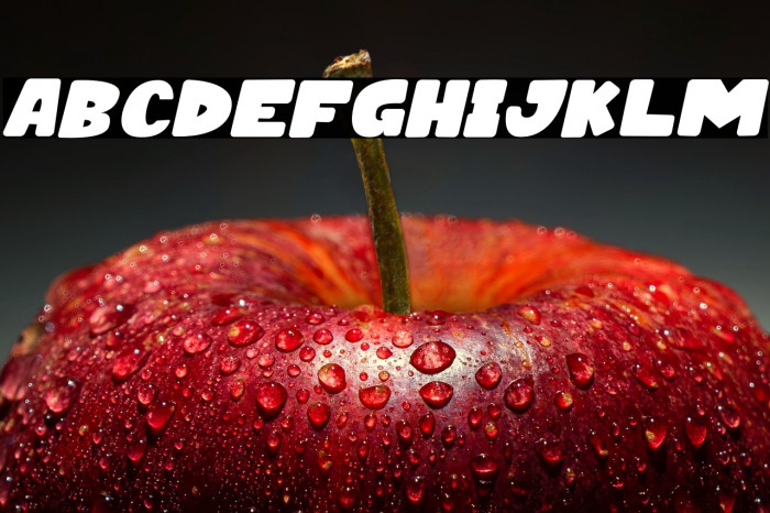 HAPPY DONUTS Italic Example 2