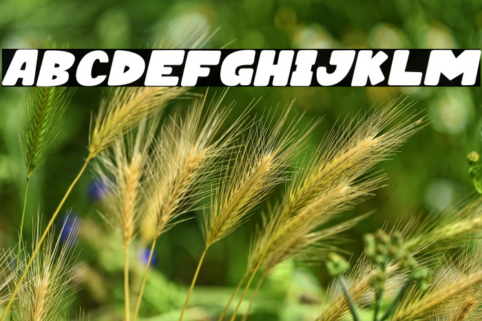 HAPPY DONUTS Italic Example 3