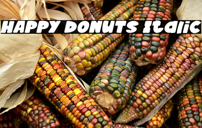 HAPPY DONUTS Italic Example 1