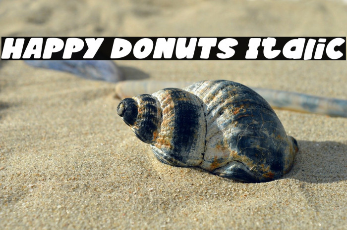 HAPPY DONUTS Italic Example 2