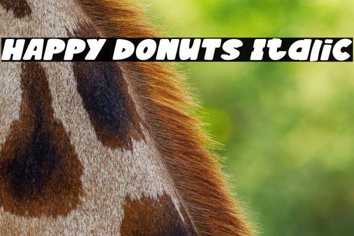 HAPPY DONUTS Italic Example 3