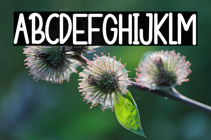 HAPPY DOODLE Example 3