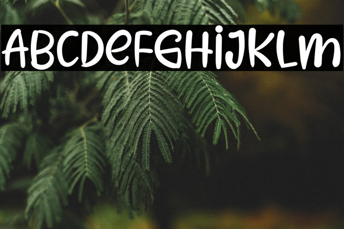 HAPPY MOMENTS Example 1