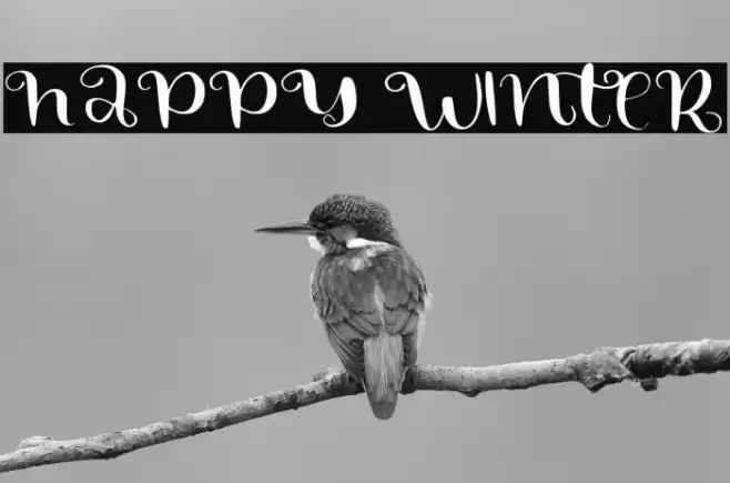 HAPPY WINTER फ़ॉन्ट examples